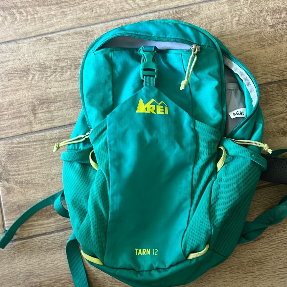 REI Tarn 12 backpack with camelback bladder